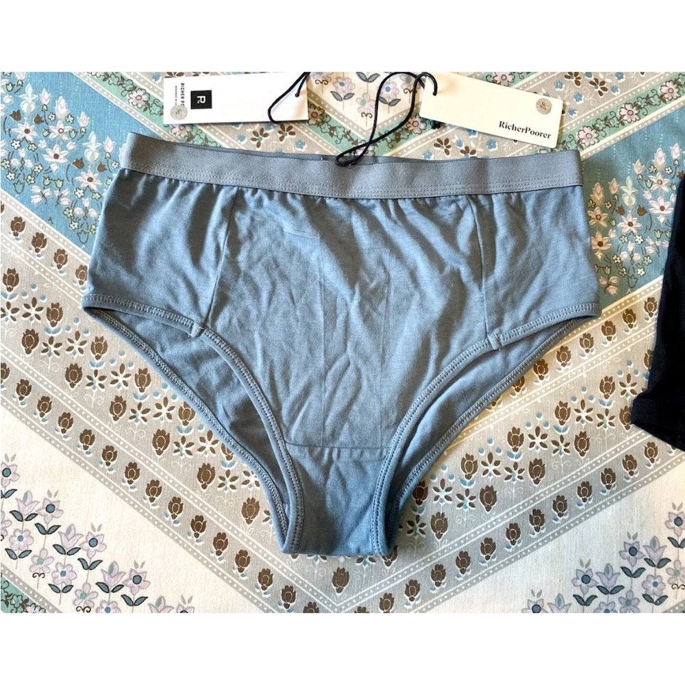 NWT M Richer Poorer Women’s Blue Mirage High Waist Briefs Underwear Panty